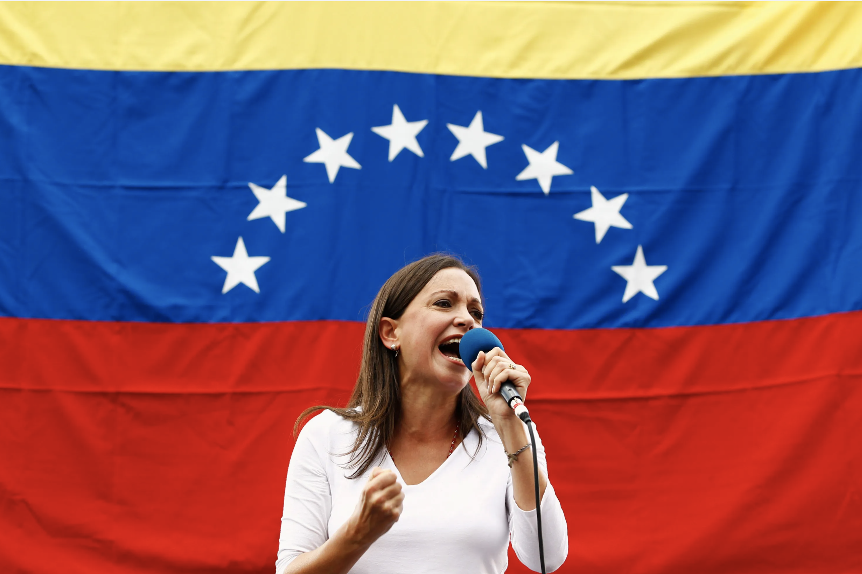 María Corina Machado: ¿El futuro de Venezuela u otra esperanza perdida? —  https://www.brookings.edu/articles/maria-corina-machado-attempts-to-bring-the-venezuelan-oppositions-case-before-the-oas/ 