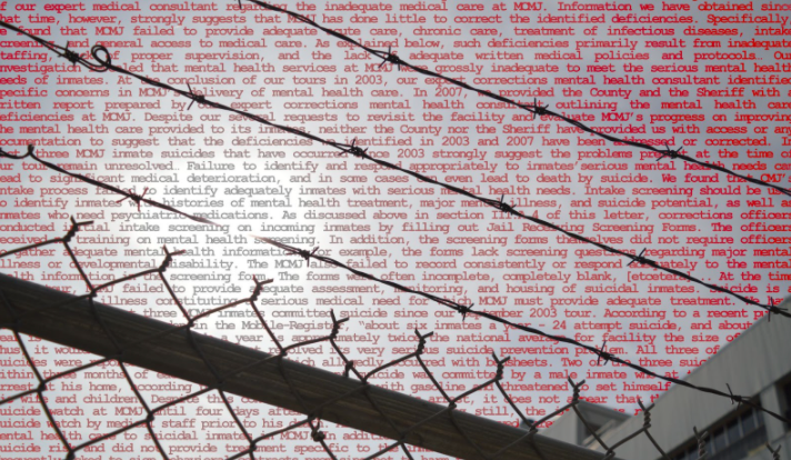 The Case Against Local Jails — Image