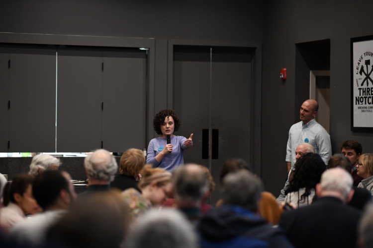 A Closer Look at Sally Hudson, Delegate and UVA Professor —  (Cover Image Courtesy of  Sally for Virginia ) 